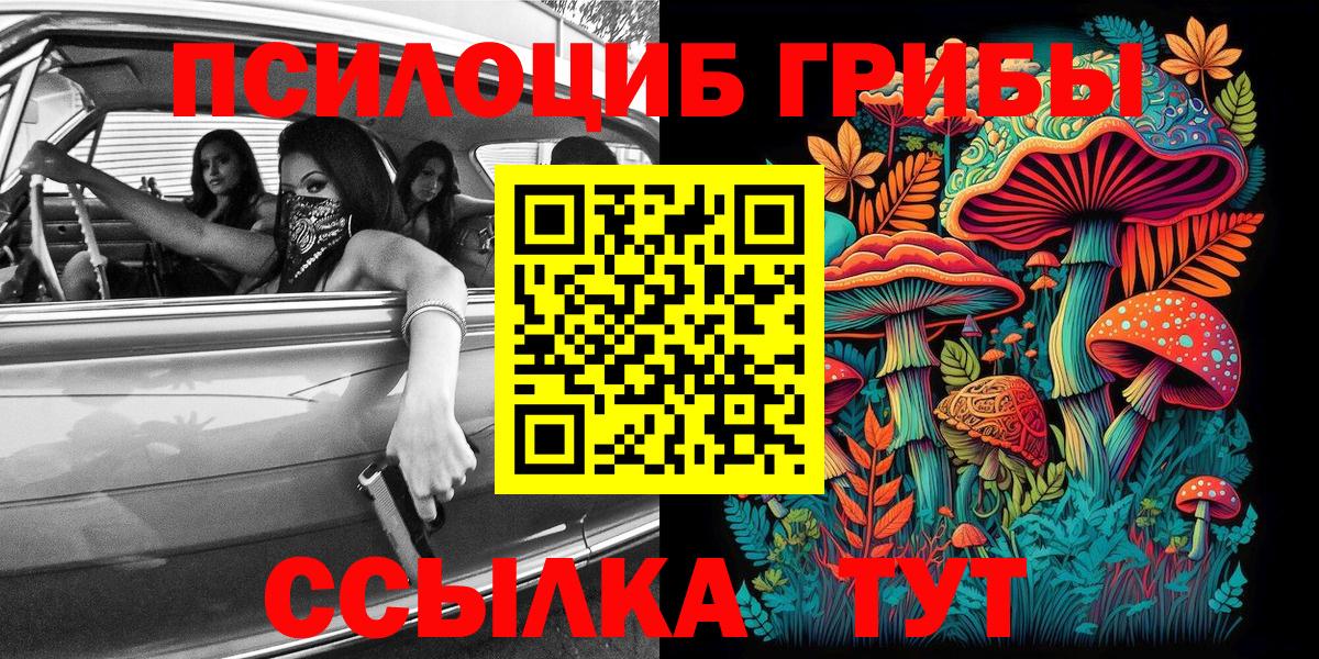 Псилоцибиновые грибы Psilocybe Кинель