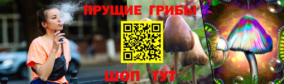 Псилоцибиновые грибы MAGIC MUSHROOMS  Кинель 